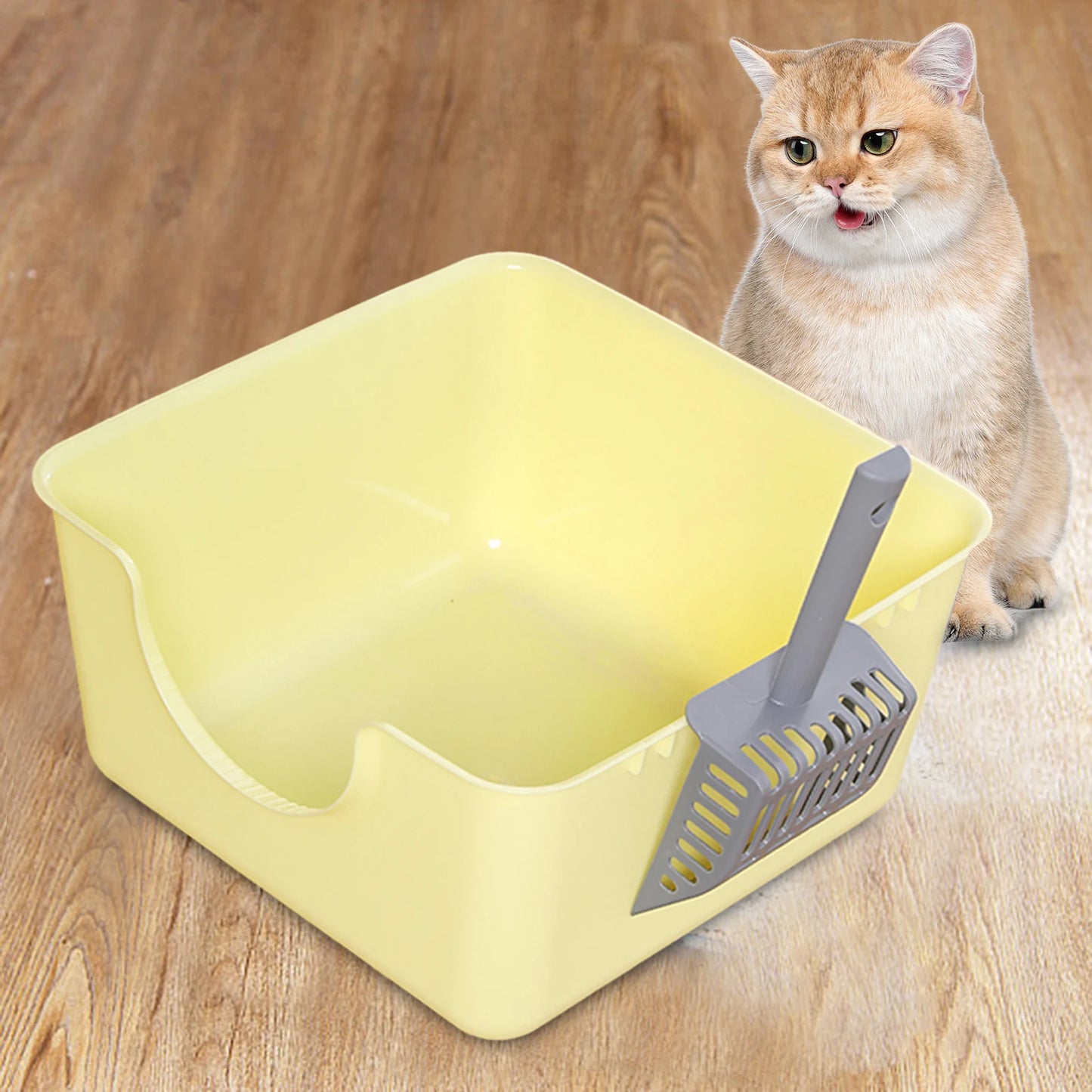 Open Top Cat Litter Tray - High-Sided Anti-Splash Pan for Small Cats