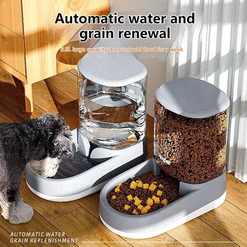 Automatic Pet Feeder - Cat & Dog Food Bowl for Feeding & Watering