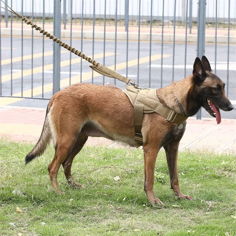 Tactical Dog Harness - Adjustable Nylon Vest for Medium & Large Dogs